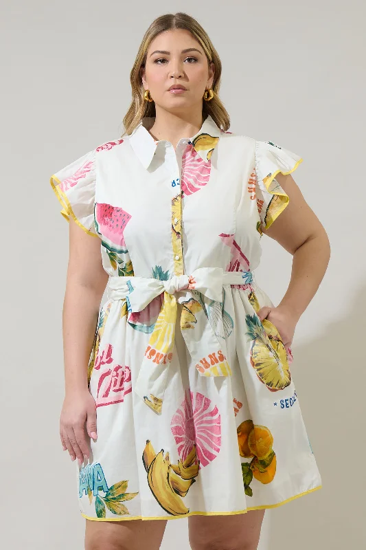 Zahra Island Maia Ruffle Collared Dress Curve Tunics Lace romantic